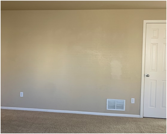 UNACCEPTABLE Touch-Up Paint Examples